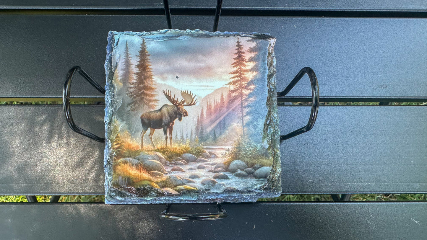 Moose Sunset Scene Slate Coasters - Set of 4 for Moose Lovers Outdoor Enthusiasts