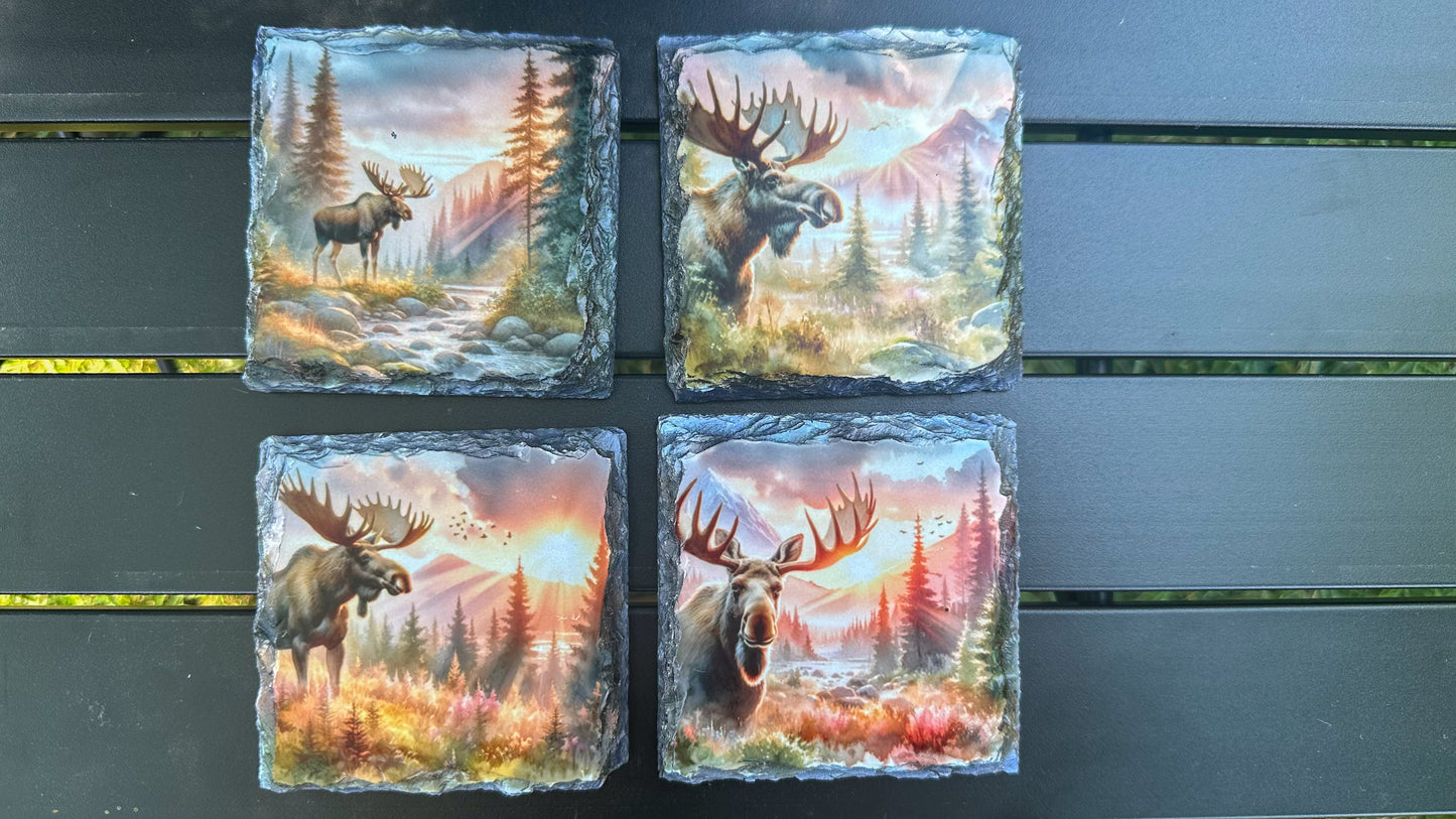 Moose Sunset Scene Slate Coasters - Set of 4 for Moose Lovers Outdoor Enthusiasts