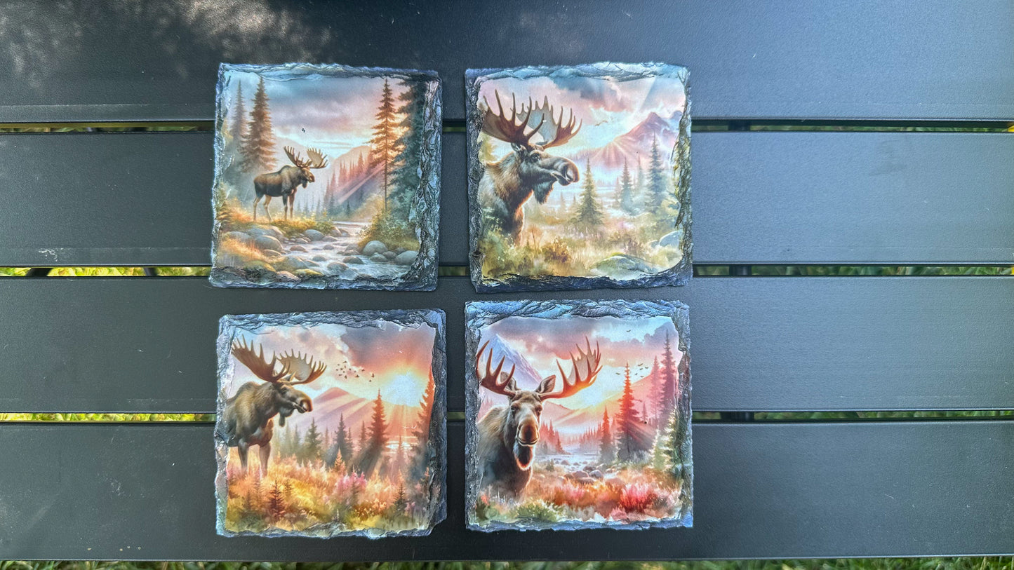 Moose Sunset Scene Slate Coasters - Set of 4 for Moose Lovers Outdoor Enthusiasts