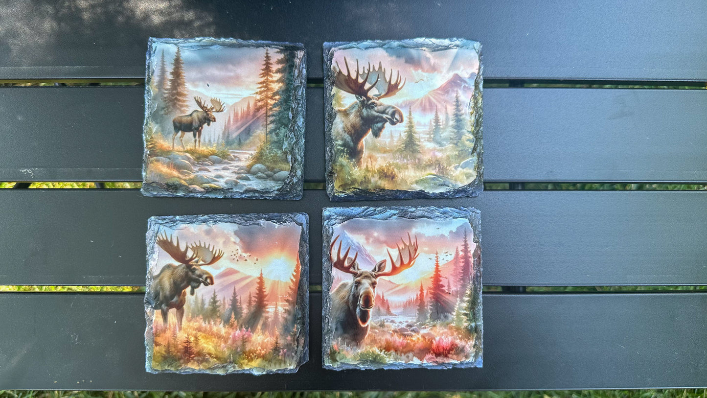 Moose Sunset Scene Slate Coasters - Set of 4 for Moose Lovers Outdoor Enthusiasts