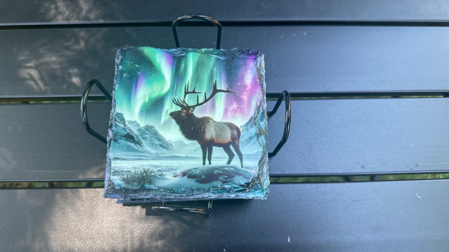 Moose Slate Coaster Set of 4 Ideal Gift for Moose Enthusiasts