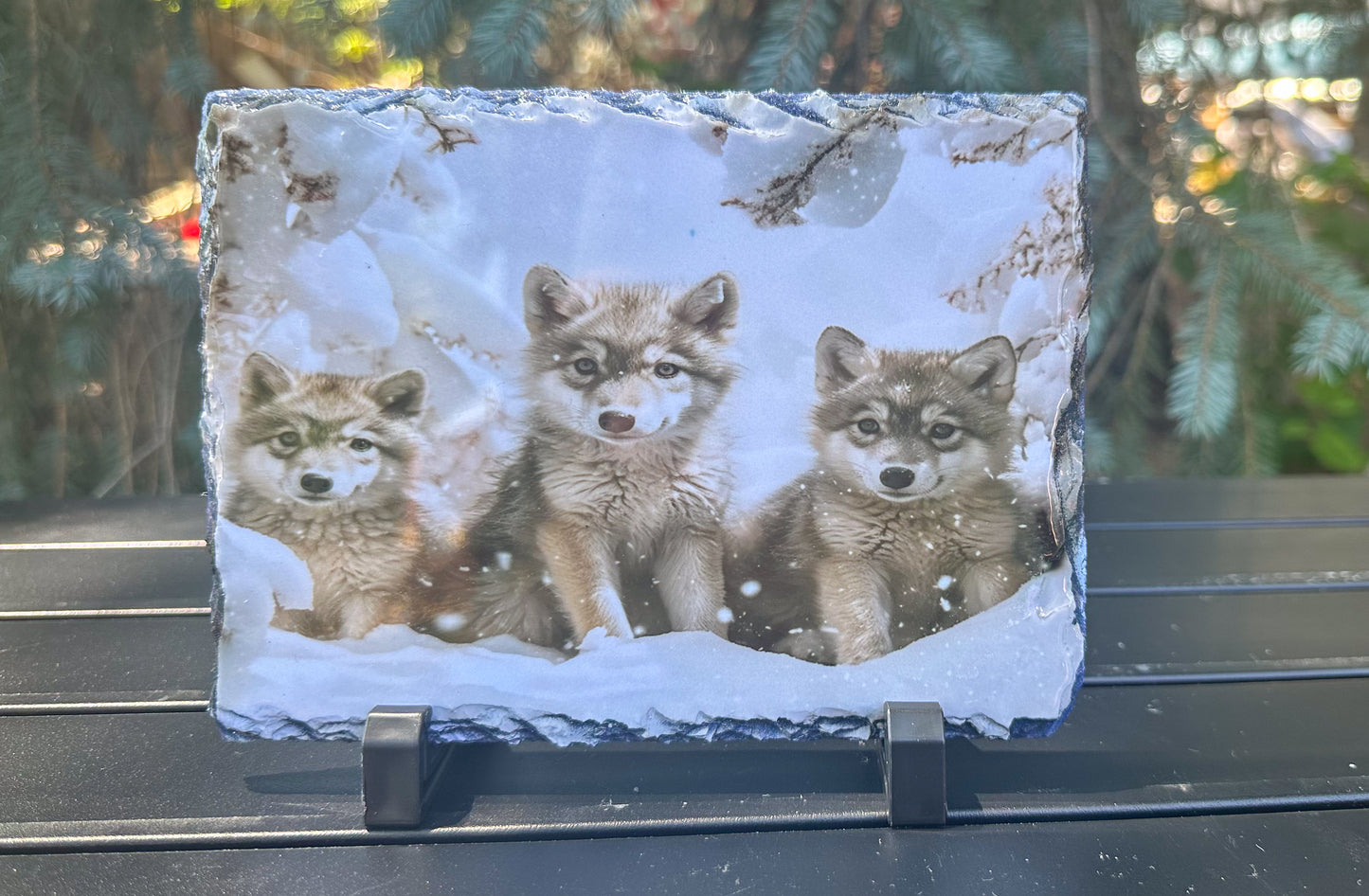 Winter Wolf Cubs Decorative Slate Plaque - Perfect Gift for Wolf Lovers