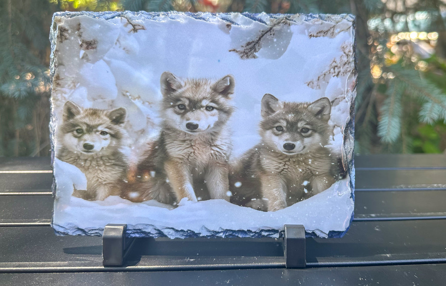 Winter Wolf Cubs Decorative Slate Plaque - Perfect Gift for Wolf Lovers