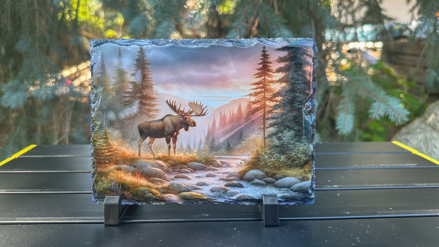 Moose in Forest Decorative Slate Plaque - Sunset Wildlife Art Perfect Outdoorsy Gift for Hunters