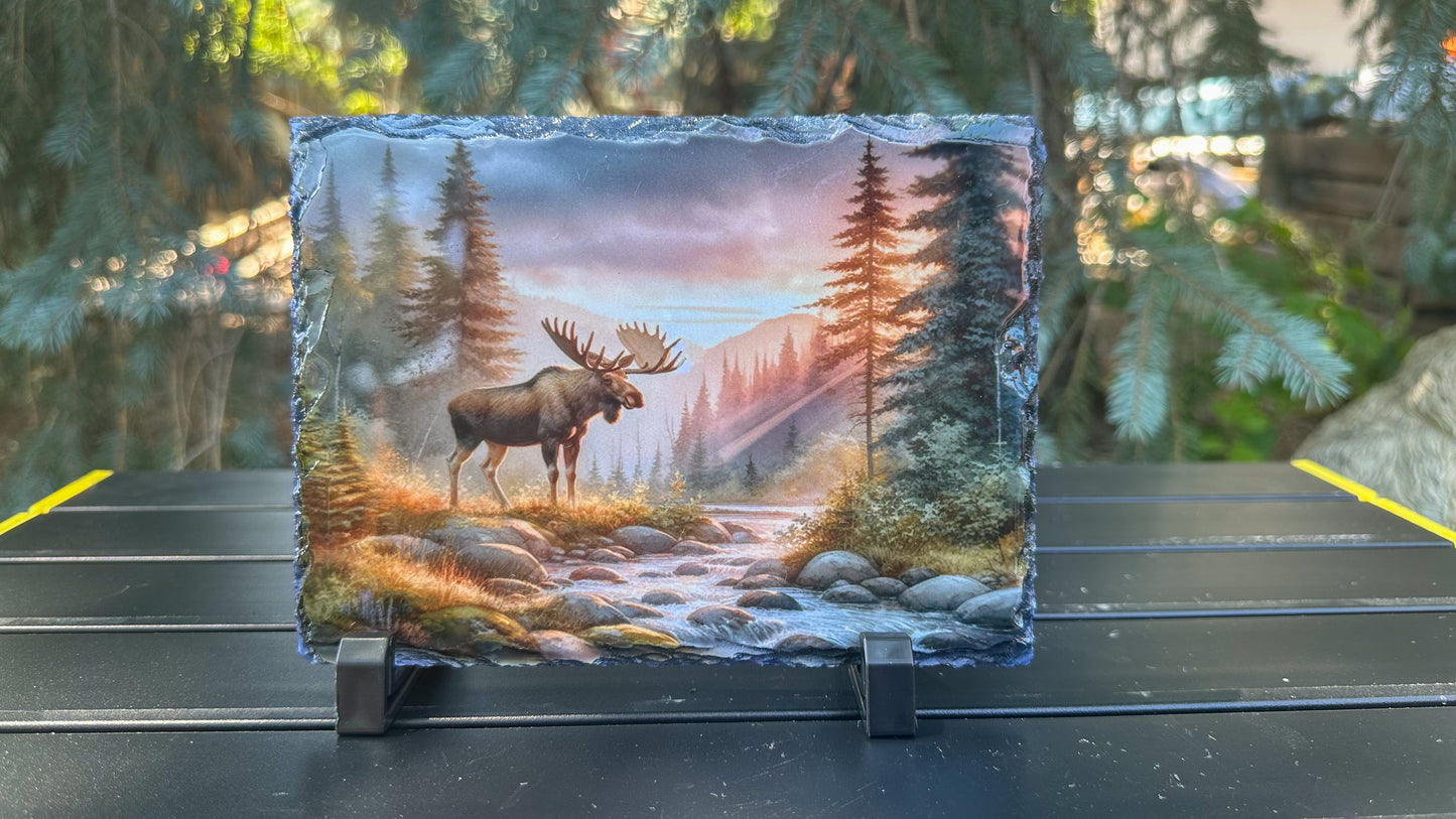 Moose in Forest Decorative Slate Plaque - Sunset Wildlife Art Perfect Outdoorsy Gift for Hunters