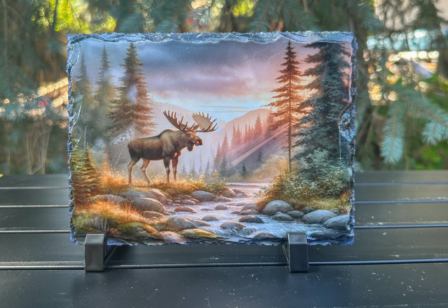 Moose in Forest Decorative Slate Plaque - Sunset Wildlife Art Perfect Outdoorsy Gift for Hunters