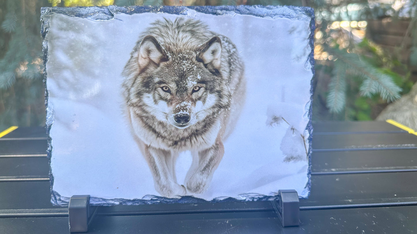 Wolf On A Mission Decorative Slate Plaque - Perfect Gift for Wolf Lovers