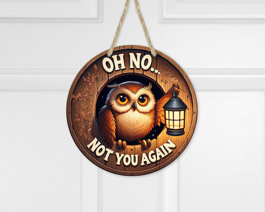 Humorous Owl Lantern Door Sign - 10x10 Aluminum Round Hanger with Faux Peek Hole Unique Gift for Sisters and New Home
