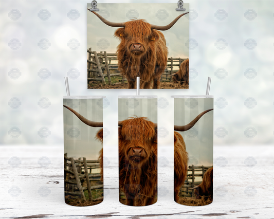Highland Cow 20oz Tumbler - Western Cowgirl Style Travel Mug