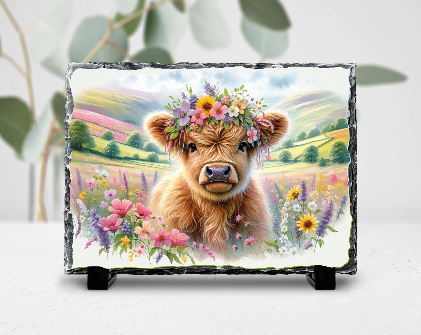 Highland Cow Slate Sign – Rustic Slate Plaque with Baby Calf Floral Headband - additional angle