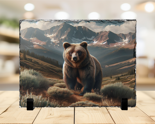 Brown Bear Photo Slate with Display Legs - Colorado Mountains Wildlife Art