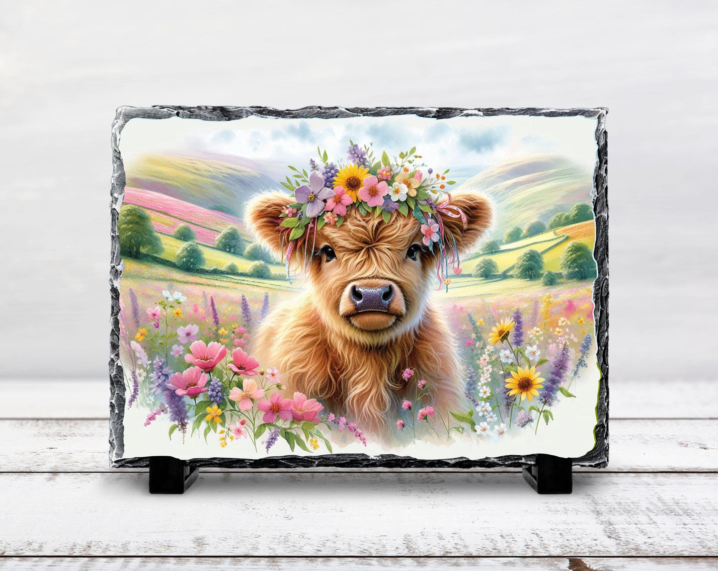 Highland Cow Slate Sign – Rustic Slate Plaque with Baby Calf Floral Headband - scale and size reference